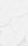 Керамическая плитка Creto Purity Lace белый 00-00-5-09-00-01-2626 настенная 25х40 см