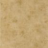 Обои Caselio Telas 2 102062669 Винил на флизелине (0,53*10,05) Коричневый, Штукатурка