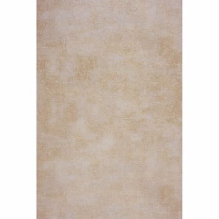 Обои Casadeco Palazzo 26901229 Винил на флизелине (0,53*10,05) Бежевый, Штукатурка