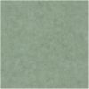 Обои Caselio Beton 101487670 Винил на флизелине (0,53*10,05) Зеленый, Штукатурка