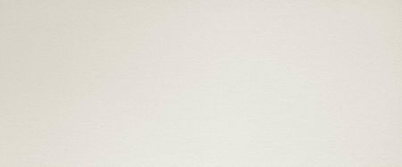 Керамическая плитка Fap Ceramiche Lumina Sand Art White Extra Matt RT fPK5 настенная 50x120 см