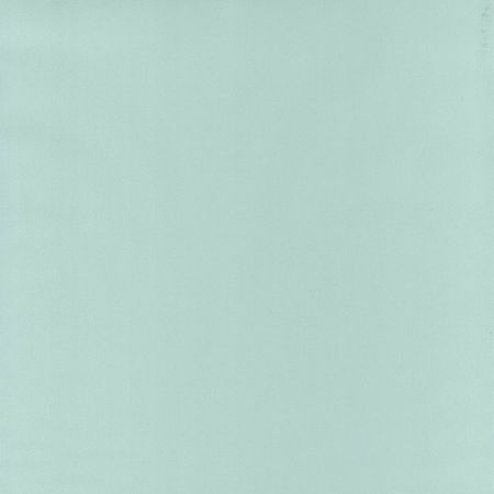 Обои Caselio Flower Power 64527007 Винил на флизелине (0,53*10,05) Зеленый, Однотонные