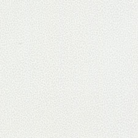 Обои Emiliana Parati Roberto Cavalli 8 19020 Винил на флизелине (1,06*10,05) Белый, Абстракция