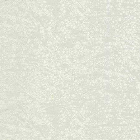 Обои Emiliana Parati Roberto Cavalli 8 19039 Винил на флизелине (1,06*10,05) Белый, Абстракция