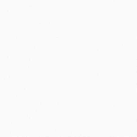 Обои Erismann Code Nature 12112-01 Винил на флизелине (1,06*10,05) Белый, Однотонные