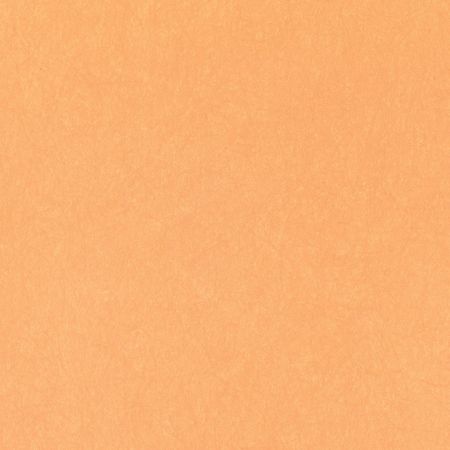 Обои Bernardo Bartalucci Legend 5068-60 Флизелин (1,06*10) Оранжевый, Однотонные