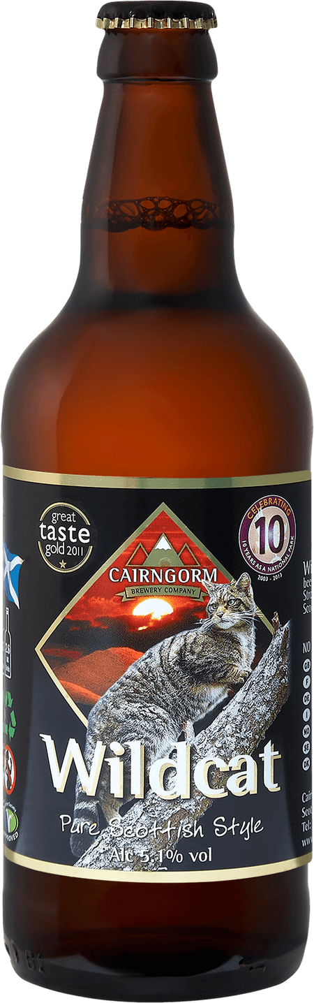 Cairngorm Wild Cat