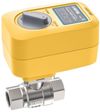 Кран с электроприводом Neptun PROFI 220В 1 1/4