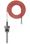 Погружной датчик температуры воды RGP TU-D12 PRO PT100