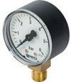 Манометр радиальный Watts F+R200 (MDR) 100/ 6x1/2"
