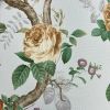 Обои Andrea Rossi Cavolli 54421-6 Винил на флизелине (1,06*10,05) Зеленый/Разноцветный, Цветы