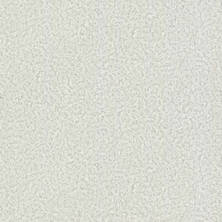 Обои Emiliana Parati Roberto Cavalli 8 19024 Винил на флизелине (1,06*10,05) Серый, Штукатурка