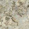 Обои Decori-Decori Carrara Best 85603BS Винил на флизелине (1,06*10,05) Бежевый/Коричневый, Мрамор