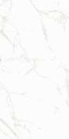 Керамическая плитка Eurotile (Rus) Amuletto White 5 АМ 0005 М настенная  25х50 см