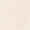 Обои Caselio Beton 101481002 Винил на флизелине (0,53*10,05) Бежевый, Штукатурка
