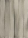 Керамическая плитка Equipe Massimo Skylon Grey 31574 настенная 5х40 см