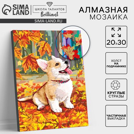 Алмазная мозаика на подрамнике с частичным заполнением