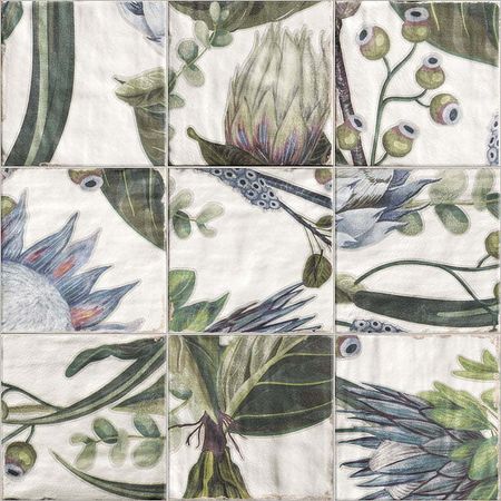 Керамическая плитка Mainzu Cinqueterre Decor Protea 918576 настенная 20х20 см