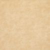 Обои Fipar Gold R 23637 Винил на флизелине (1,06*10,05) Бежевый/Золото, Штукатурка