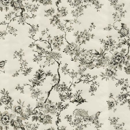 Обои Emiliana Parati Roberto Cavalli 8 19046 Винил на флизелине (1,06*10,05) Белый/Черный, Птицы/Цветы