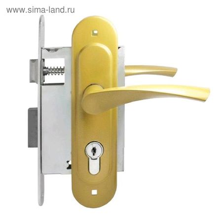 Замок врезной с ручками «Птимаш» ЗВ4-3.07 (ЗВ4-0623), м/о 55, цвет золото