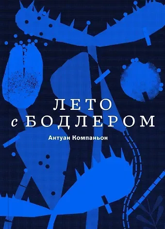 Антуан Компаньон Лето с Бодлером