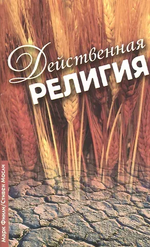 Марта Финли Действенная религия
