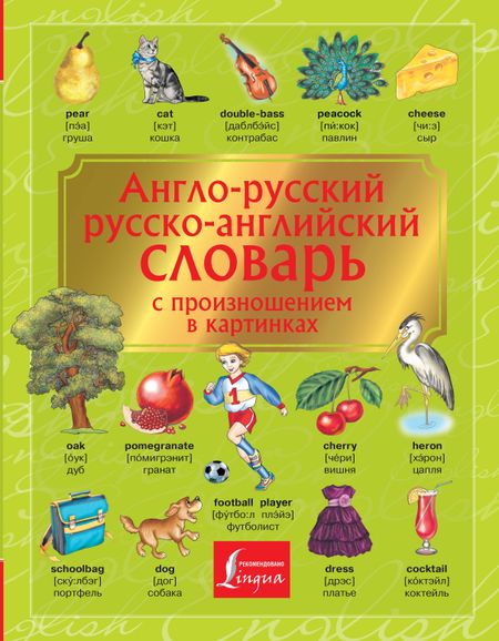 None Англо-русский. Русско-английский словарь с произношением в картинках