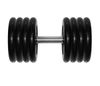   MB Barbell   41 