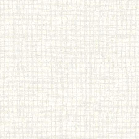 Обои Andrea Rossi Barbana 54294-1 Винил на флизелине 1061005 Белый Рогожка 3960₽