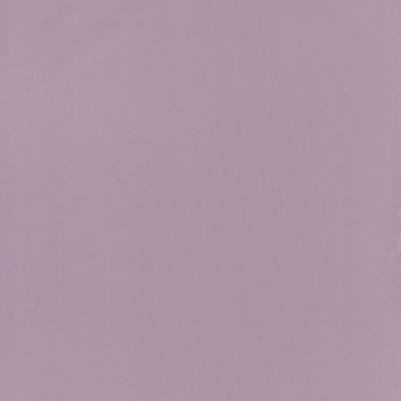 Обои детские Casadeco Rose Nino 29695217 Винил на флизелине 0531005 Фиолетовый Однотонные 4000₽