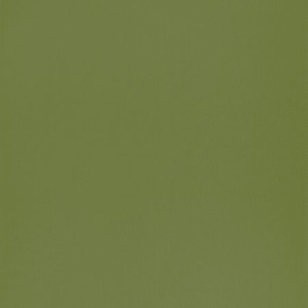 Обои детские Casadeco Rose Nino 69867313 Винил на флизелине 0531005 Зеленый Однотонные 4000₽