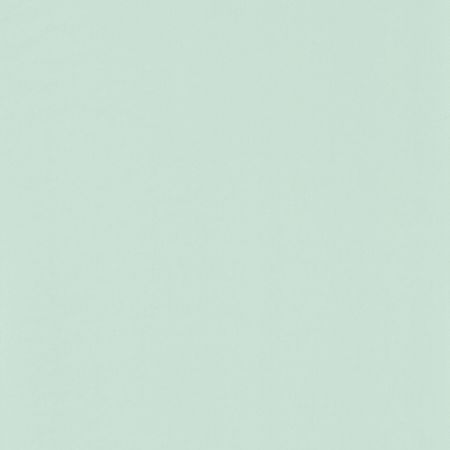 Обои детские Casadeco Rose Nino 69867910 Винил на флизелине 0531005 Зеленый Однотонные 4000₽