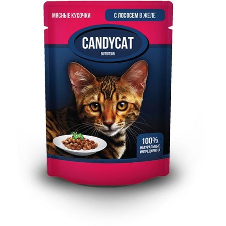 Candycat полнорационный влажный корм для кошек, с лососем, кусочки в желе, в паучах - 85 г (1 шт) (1 шт)