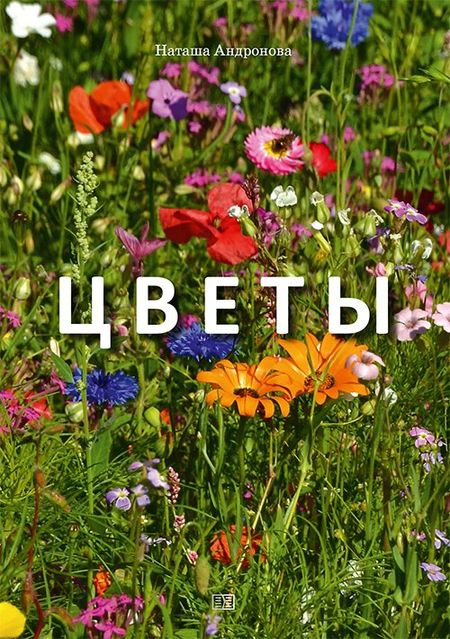 Наташа Андронова Цветы