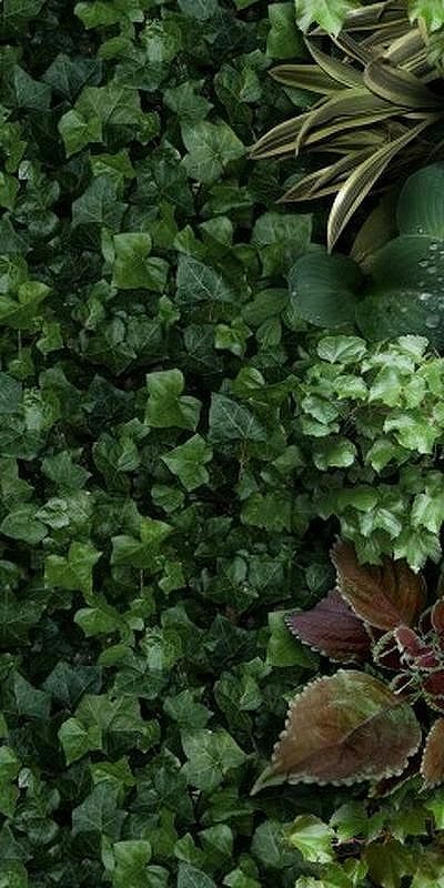 Керамогранит 41Zero42 Paper41 Pro Jane A 4100151 50х100 см 29232₽