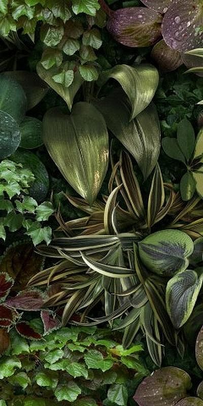 Керамогранит 41Zero42 Paper41 Pro Jane B 4100152 50х100 см 29232₽