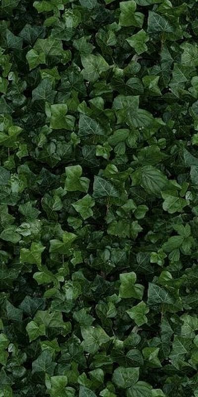 Керамогранит 41Zero42 Paper41 Pro Jane E 4100155 50х100 см 29232₽