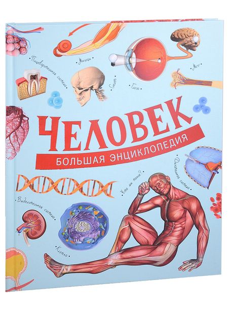 Д. Маттарэлли Человек. Большая энциклопедия