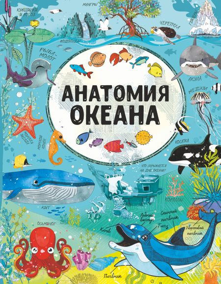 Ирина Геннадьевна Барановская Анатомия океана