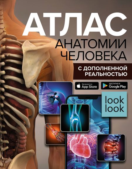 Анна Артуровна Спектор Атлас анатомии человека с дополненной реальностью