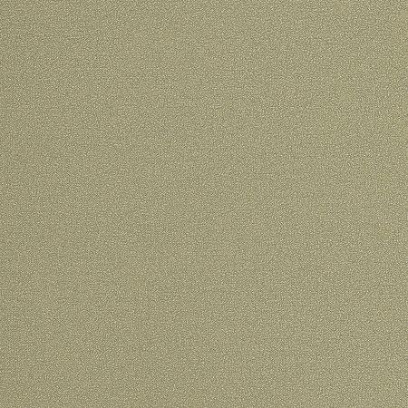 Обои Andrea Rossi Spectrum 54355-8 Винил на флизелине 10610 Зеленый Однотонные 4800₽