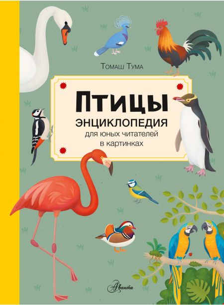 Томаш Тума Птицы