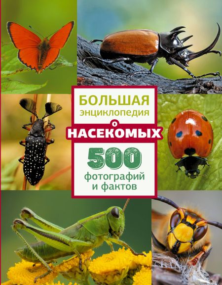 Анна Артуровна Спектор Большая энциклопедия о насекомых. 500 фотографий и фактов