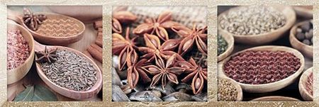 Керамический декор Monopole Ceramica Exquisit A Decor 10х30 см 455₽