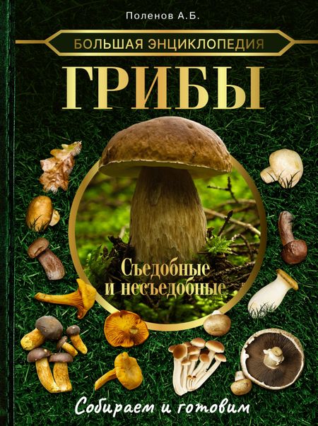 Андрей Борисович Поленов Большая энциклопедия. Грибы. Съедобные и несъедобные. Собираем и готовим