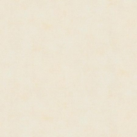 Обои AS Creation Garda 38732-8 Винил на флизелине 1061005 Бежевый Штукатурка 2602₽
