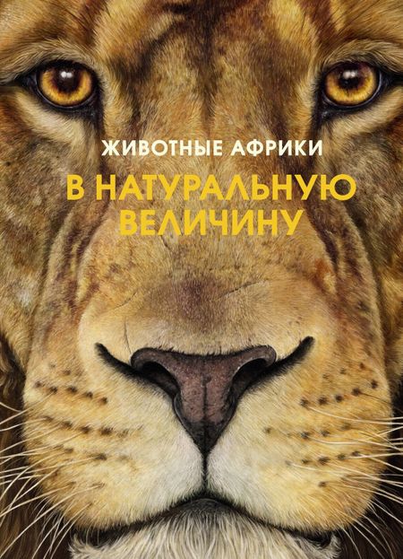 Хольгер Хааг Животные Африки в натуральную величину