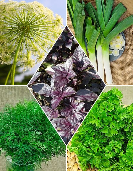 Набор Пряности 300₽