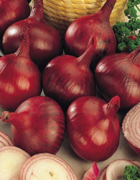 Лук репчатый Кармен МС 05 гр бп 19₽